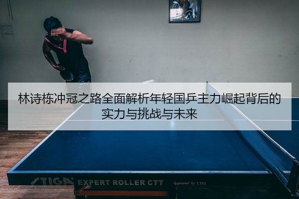 林诗栋冲冠之路全面解析年轻国乒主力崛起背后的实力与挑战与未来